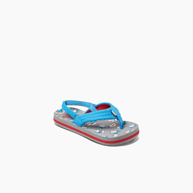 Kids' Reef Little Ahi Boys Multicolor | MeZpPdDWXX0