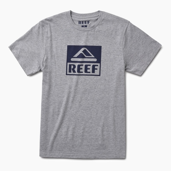 Men's Reef Cushion Spring Joy T Shirts Grey | njJlI2irU2I